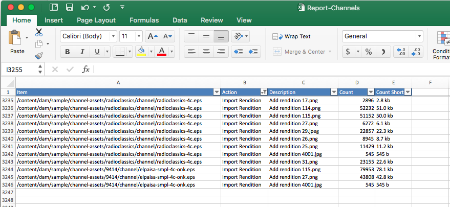 Example process report